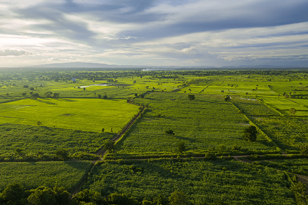 Land Plot