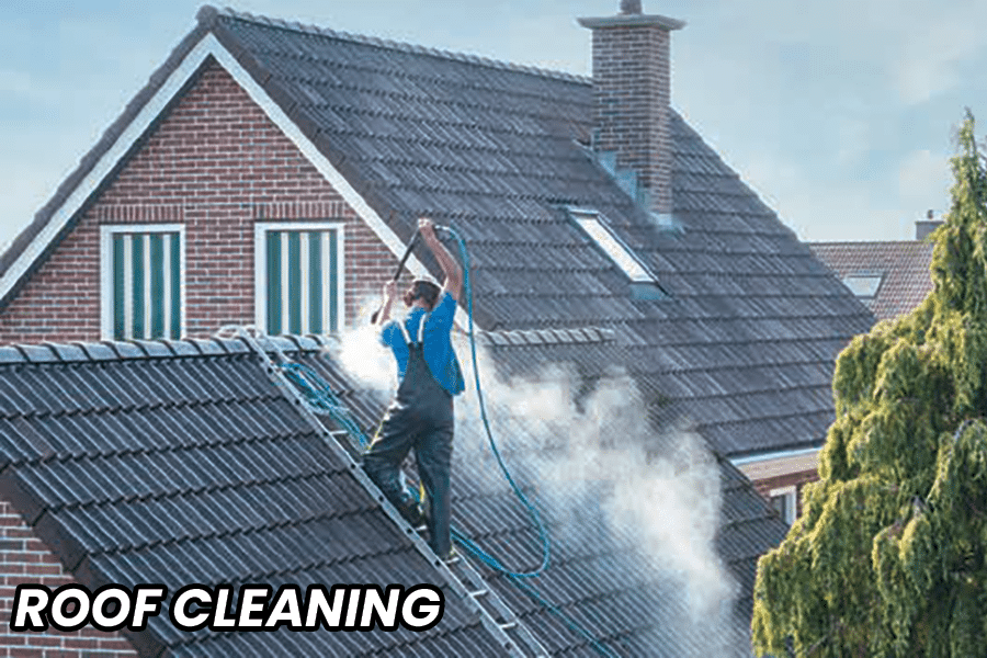 SPW Roof Cleaning